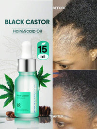 Black Castor
